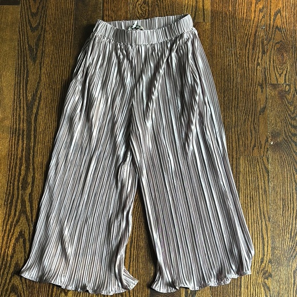 blushing Heart Other - Casual Pleated Pants in Silver